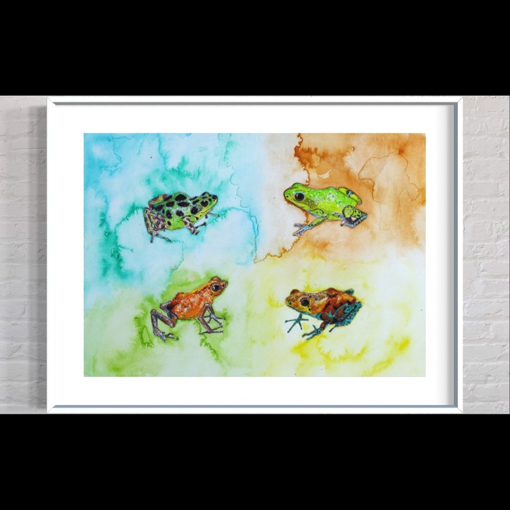 Poison Dart Frogs Art Print Watercolor Painting Tropical Home Decor Colorful - Picture 8 of 9